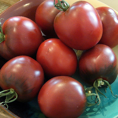 Томаты для теплицы из поликарбоната, лучшие сорта помидоров с фото иописанием